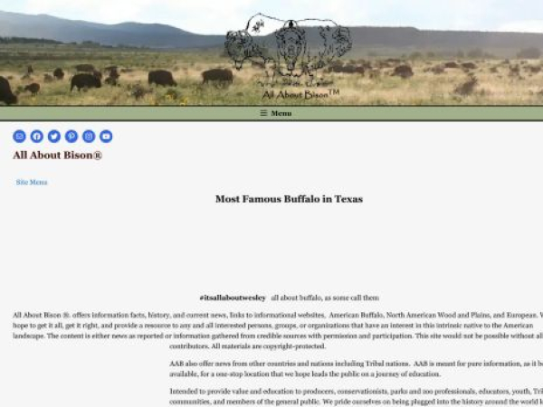 allaboutbison.com