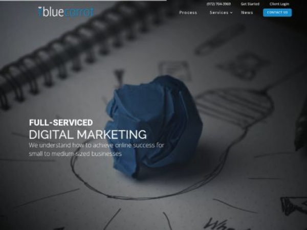bluecarrotcreative.com