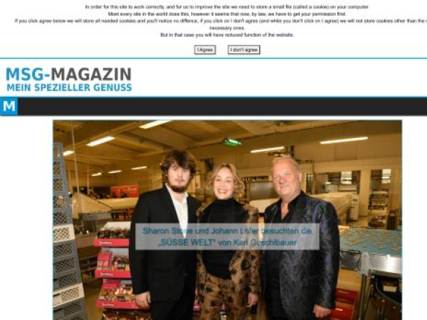 msg-magazin.com