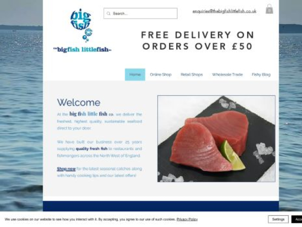 thebigfishlittlefish.co.uk