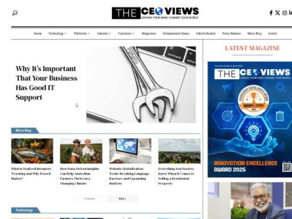 theceoviews.com