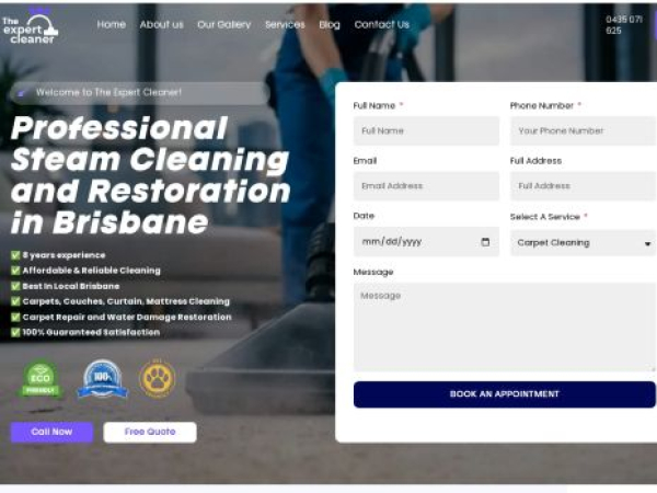 theexpertcleaner.com