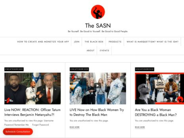 thesasn.com